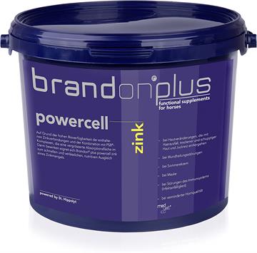 Brandon Powercell Zink